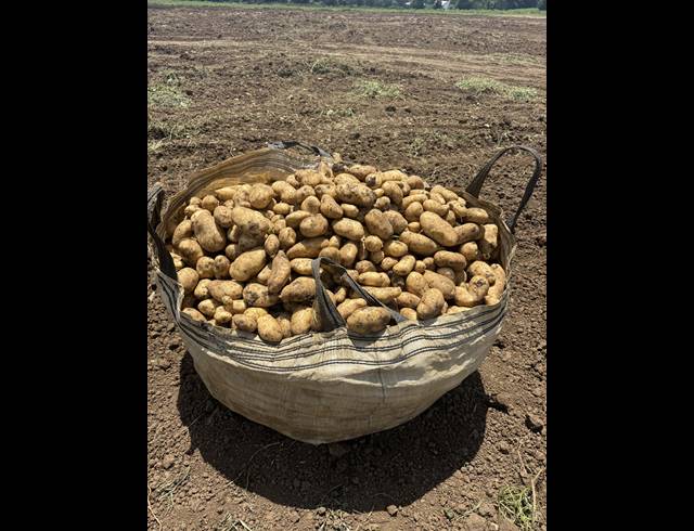 12HA FARM FOR SALE IN WEENEN